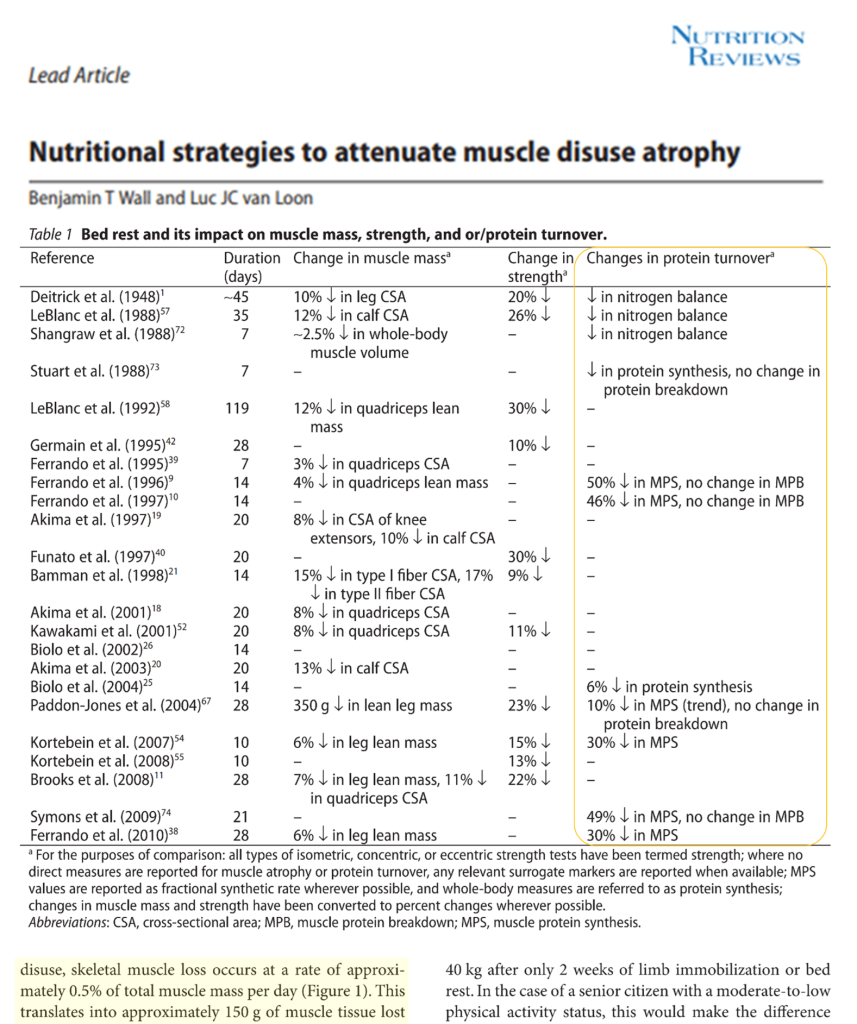 ¿Qué tan rápido pierdes músculo cuándo dejas de entrenar? 9 Estudios se evalúan variables síntesis proteica