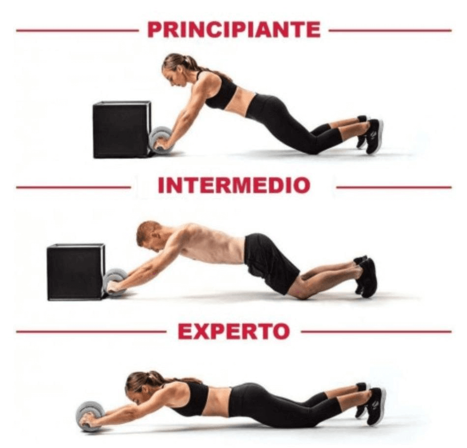 Rueda abdominal vs plancha, ¿cuál es mejor para abdominales? 5 Ejercicio con rueda abdominal