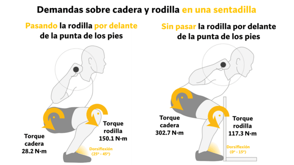 Caderas y rodilla en sentadilla
