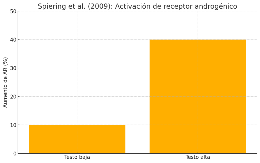 Activación de receptor androgénico