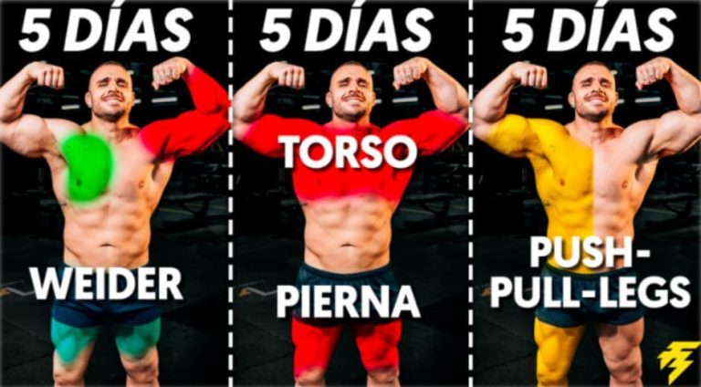 Cinco días para ganar músculo