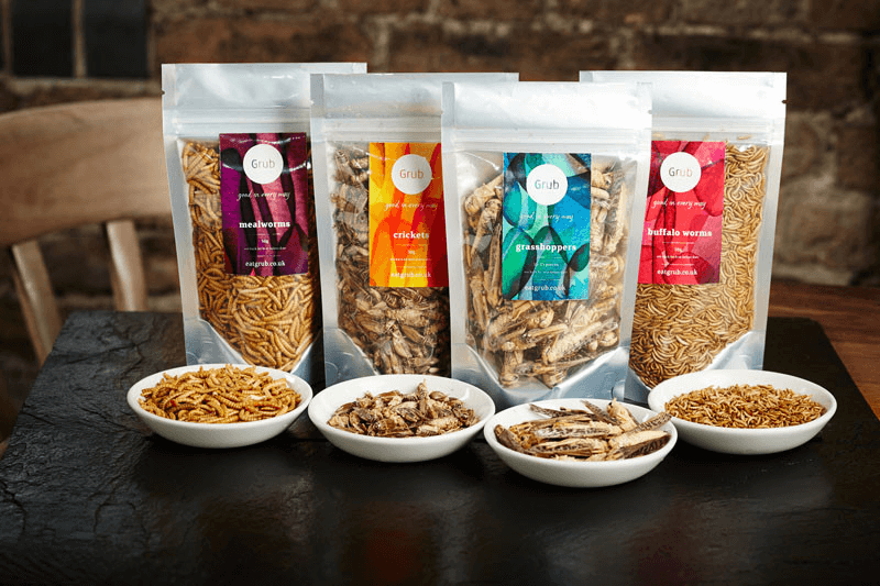 Proteína de insectos