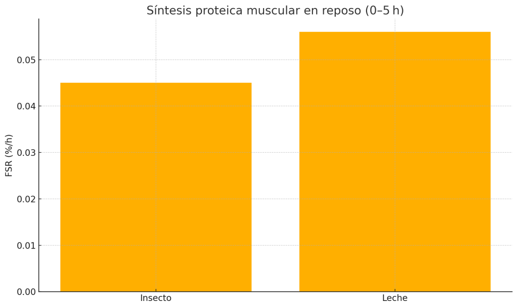 Síntesis proteica muscular en reposo 