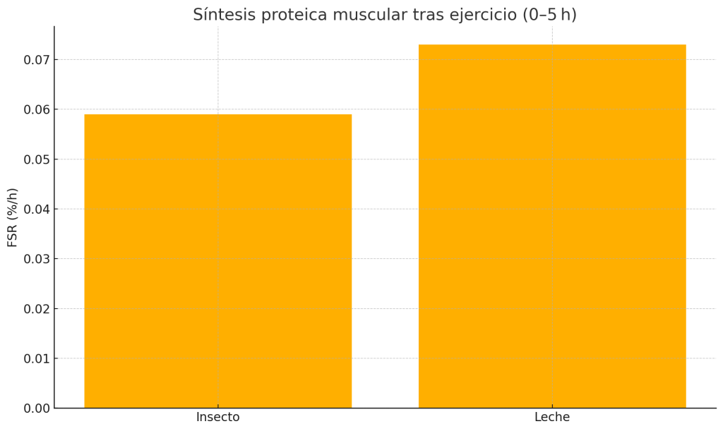 Síntesis proteica muscular tras ejercicio
