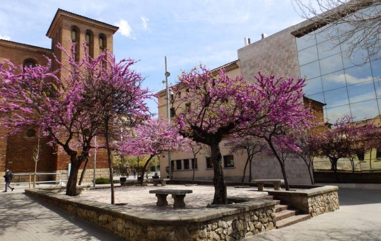CAFYD en Cornellà de Llobregat