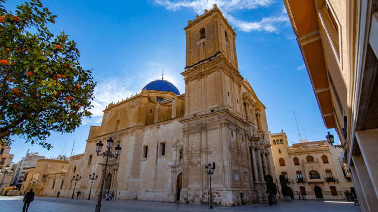 Estudiar CAFYD en Elche