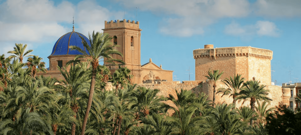 Carrera de Nutrición en Elche