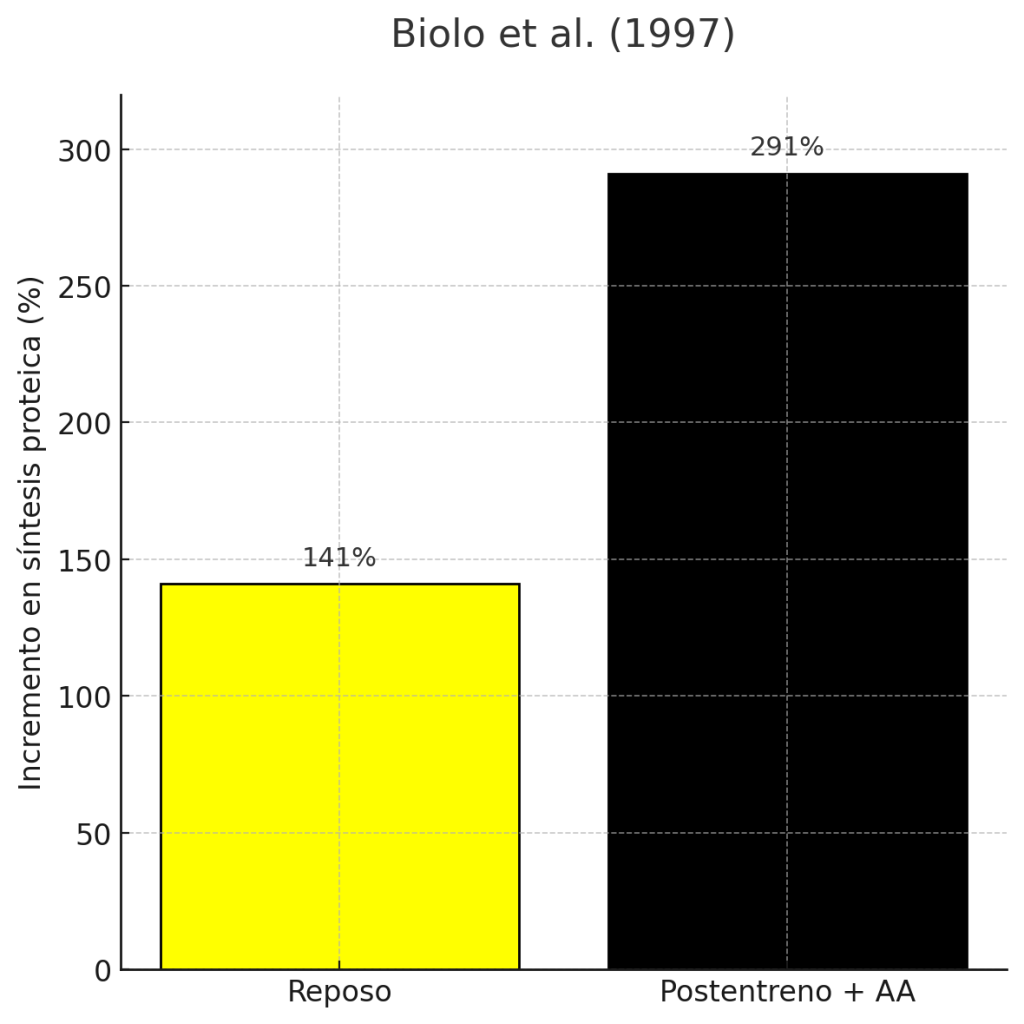 Síntesis proteica muscular 