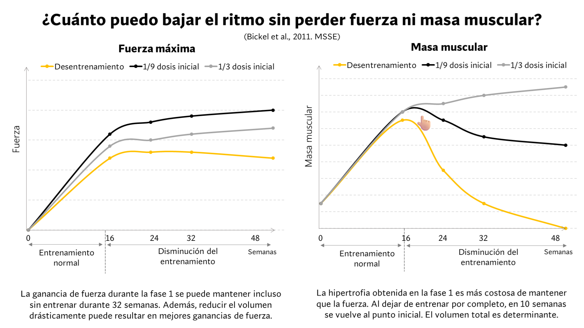 ¿Qué tan rápido pierdes músculo cuándo dejas de entrenar? 13 image 6 scaled