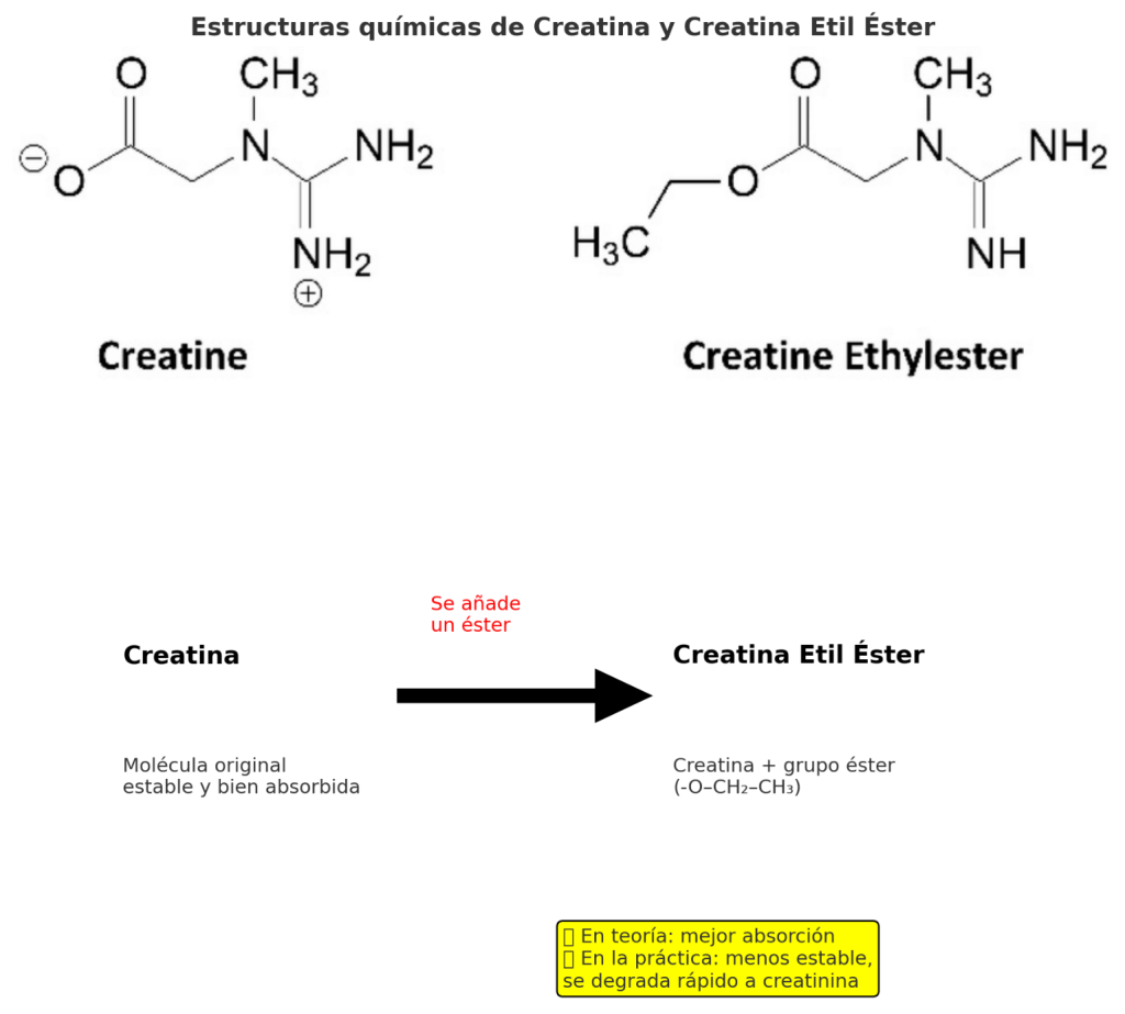 Estructura químicas de creatinas