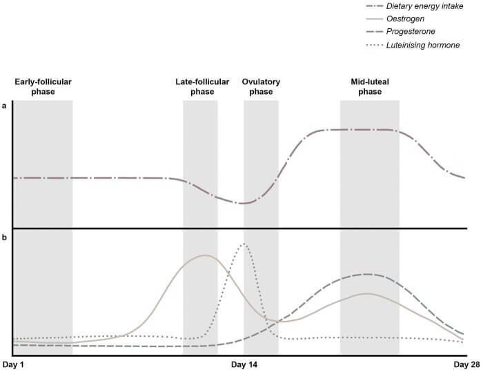 Gráfico cambian las calorías