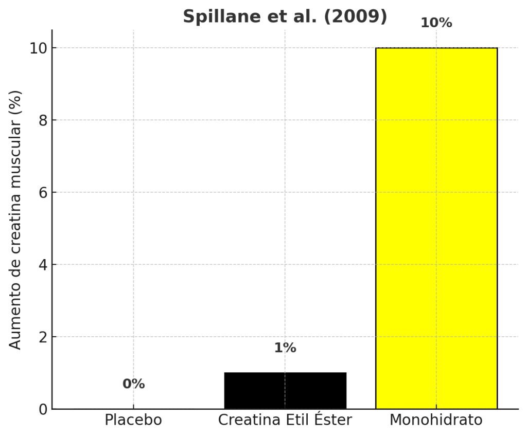 Aumentó de creatina muscular