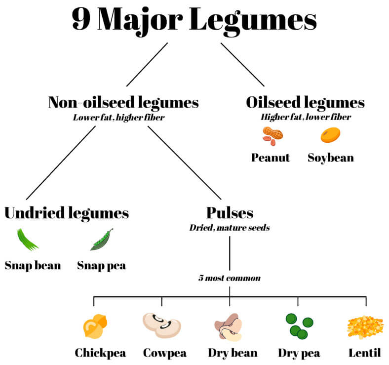 Legumbres más consumidas en el mundo