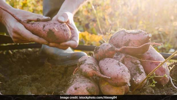 Cosechar alimentos con vitamina D