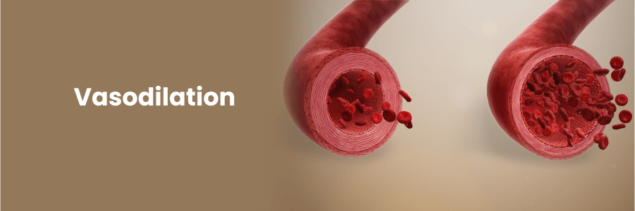 Compuestos con potencial vasodilation