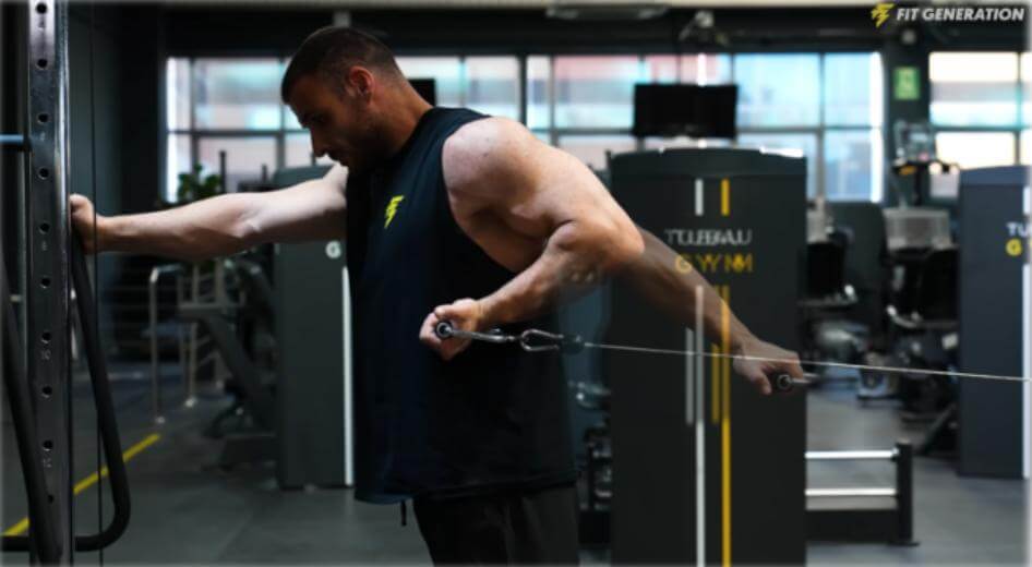 Curl Bayesian para biceps