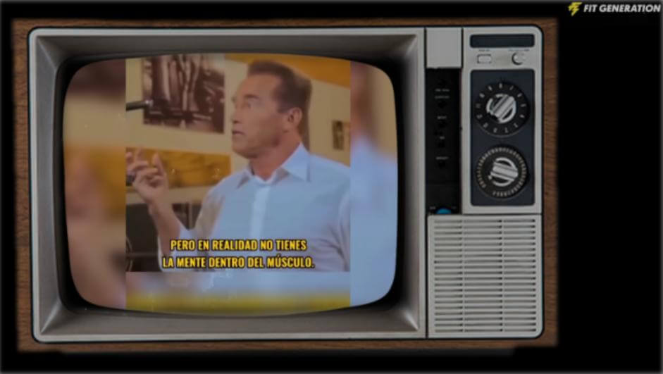 Palabras de Arnold musculo