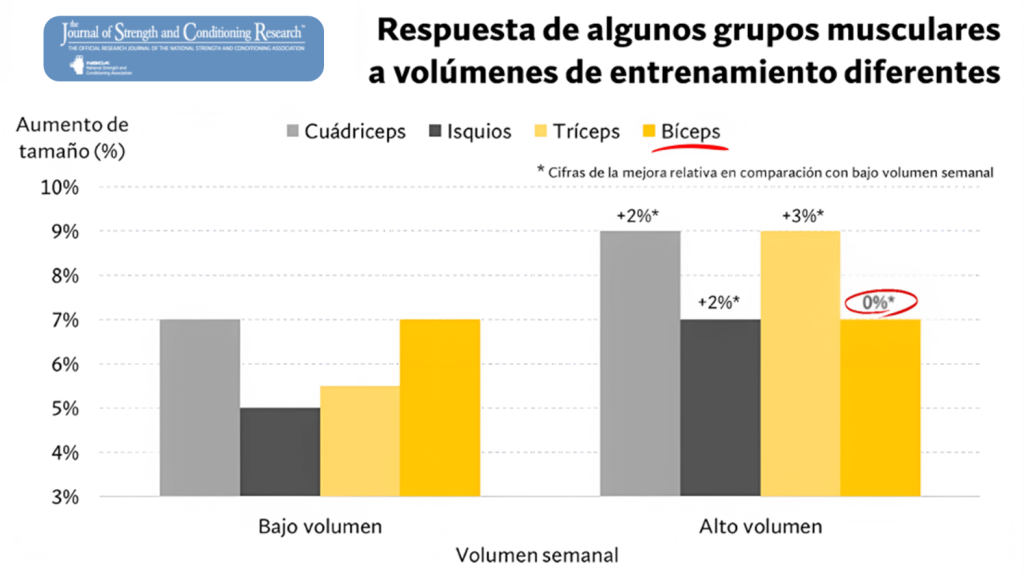 Respuesta hipertrófica por grupo muscular 