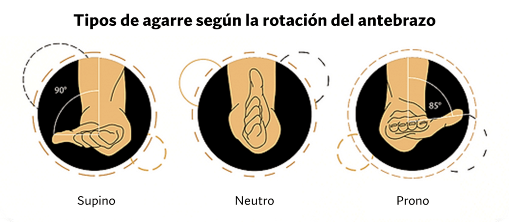Tipos de agarre según rotación antebrazo
