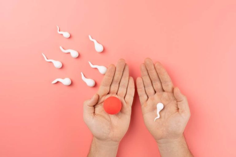 Fertilidad masculina y femenina