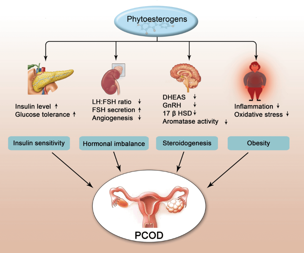 El impacto de la alimentación en la fertilidad masculina y femenina (guía) 20 Fitoestrógenos y fertilidad
