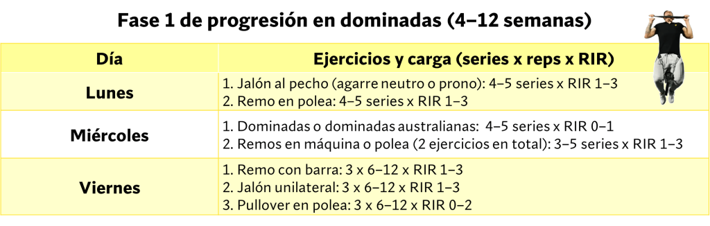 Fase uno de progresión en dominadas