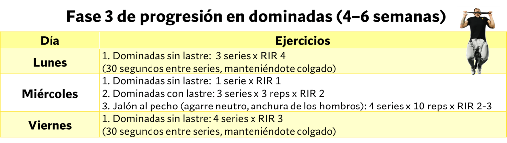 Fase tres progresión en dominadas