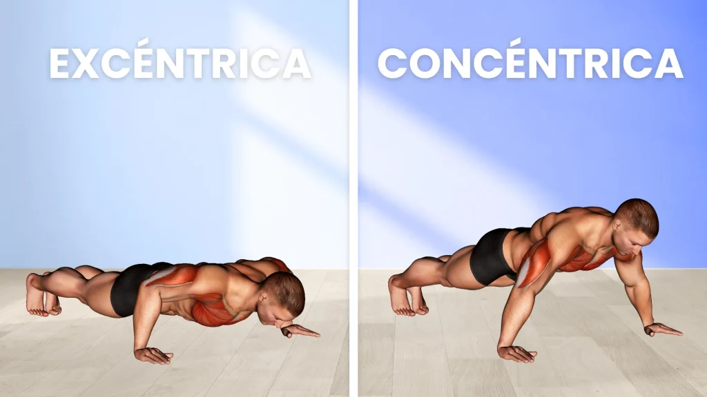 push ups concentrica excentrica