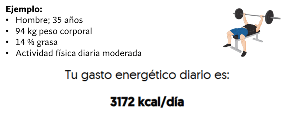 Gasto energético diario