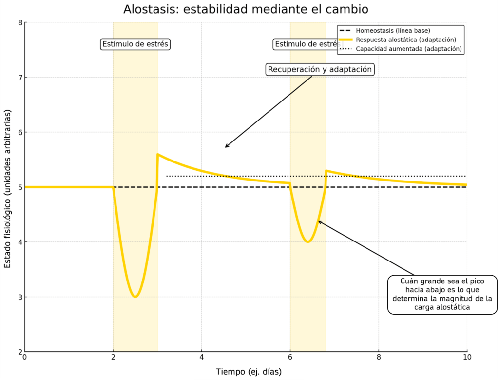 Gráfico estabilidad mediante el cambio