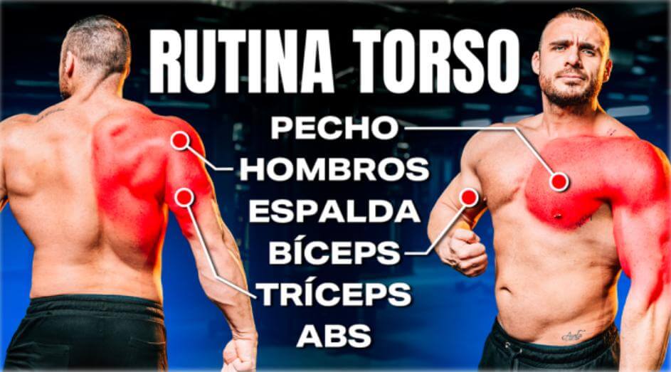 Rutina torso parara ganar músculo