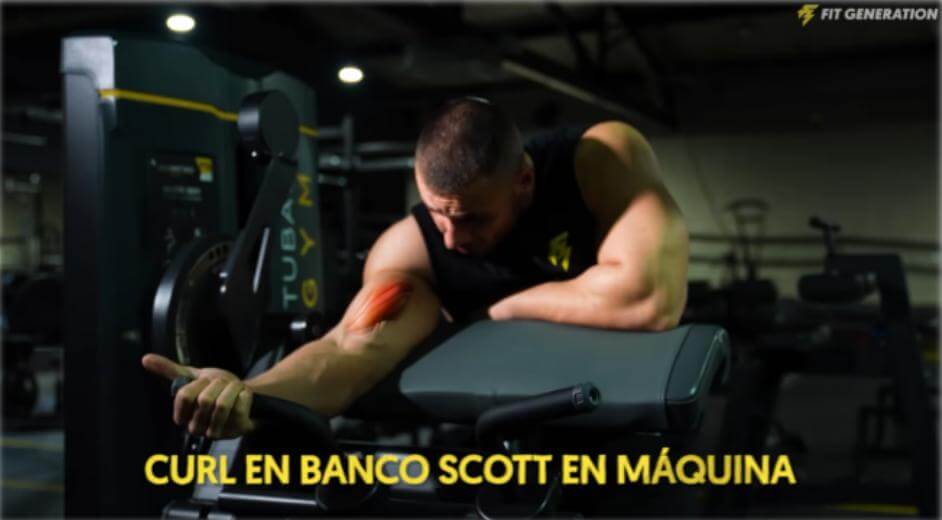 La mejor Rutina de Torso para ganar músculo en el tren superior 43 Curl en banco Scott en máquina