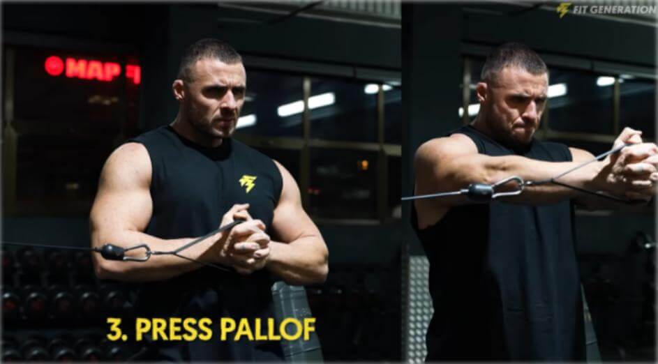La mejor Rutina de Torso para ganar músculo en el tren superior 57 Press Pallof para abdominales