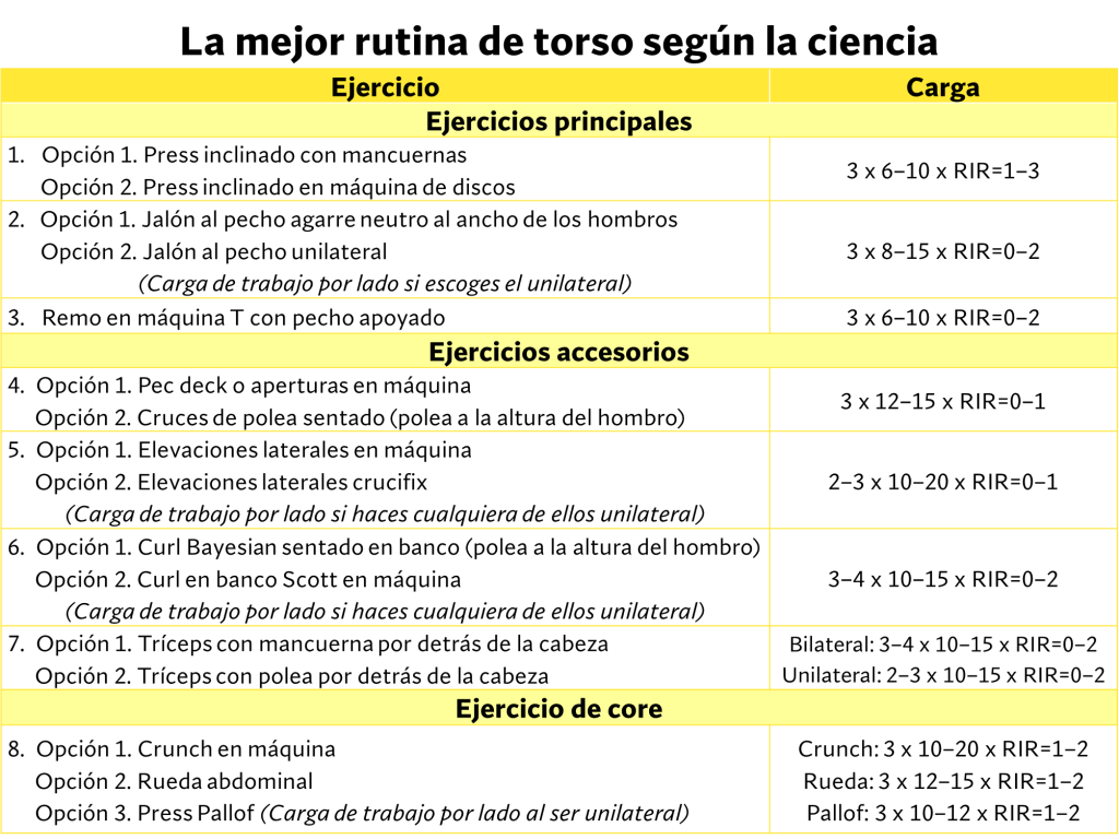 La mejor Rutina de Torso para ganar músculo en el tren superior 59 rutina de torso 31
