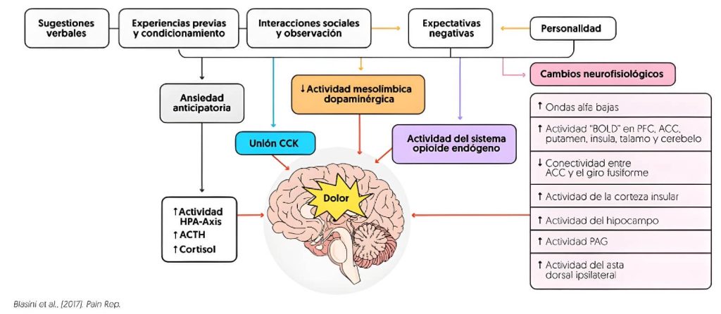 Mecanismos psicobiológicos implicados dolor