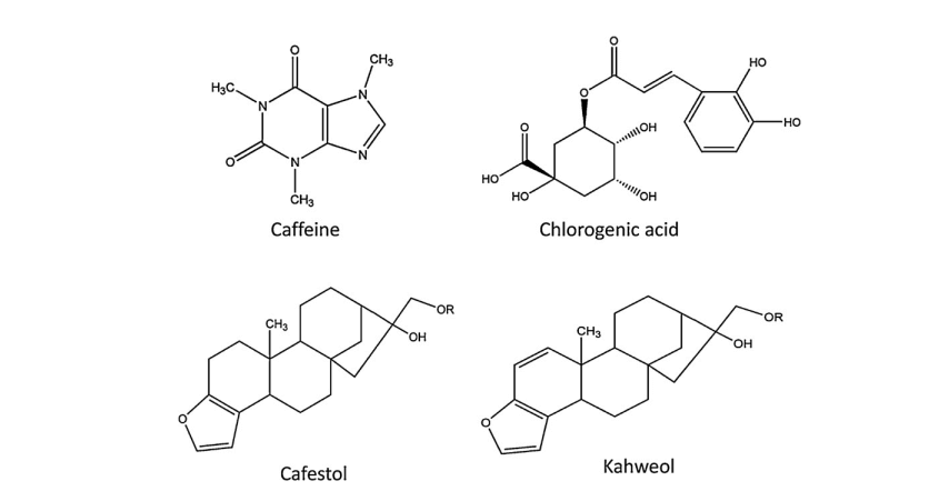 Estructuras químicas bioactivos del café