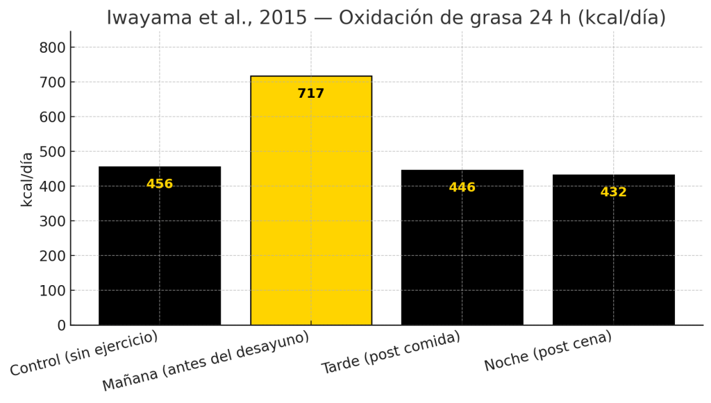 Estudios oxidación de grasas