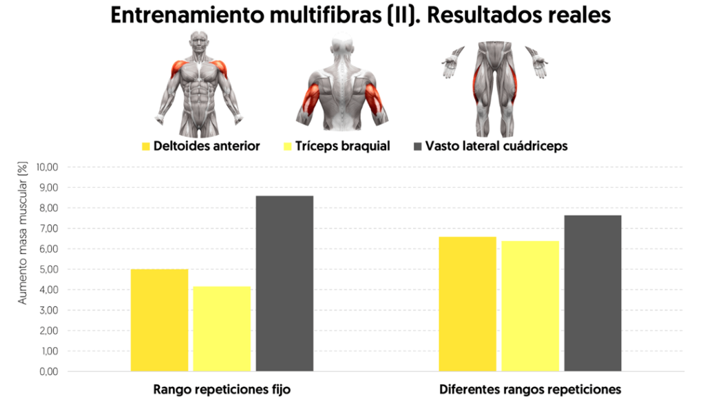 Hipertrofia muscular tras ocho semanas