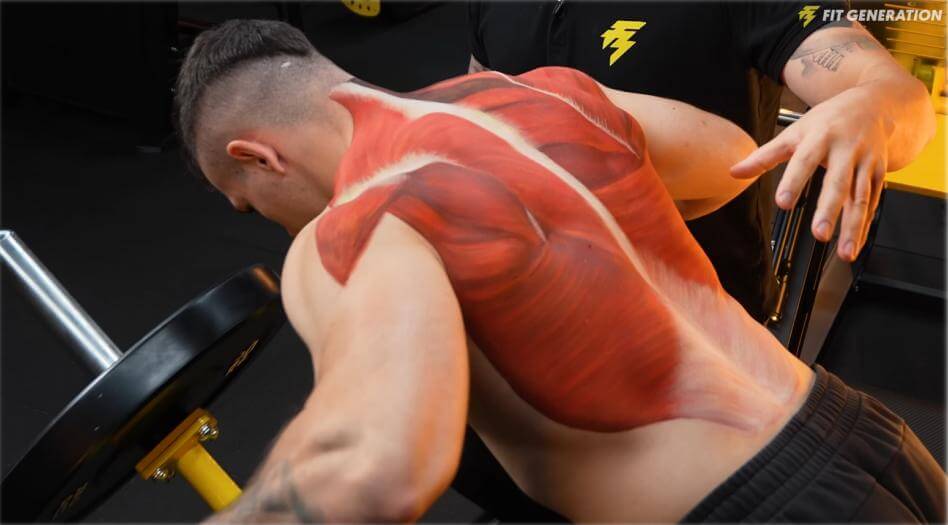 Proporción de fibras entrenamiento