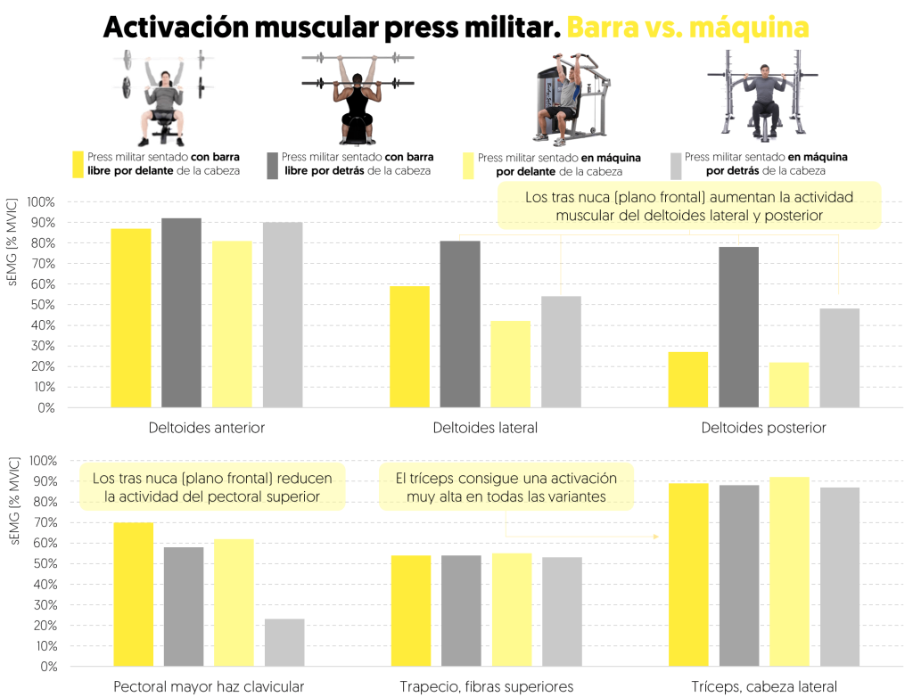 Activación muscular principales grupos musculares 