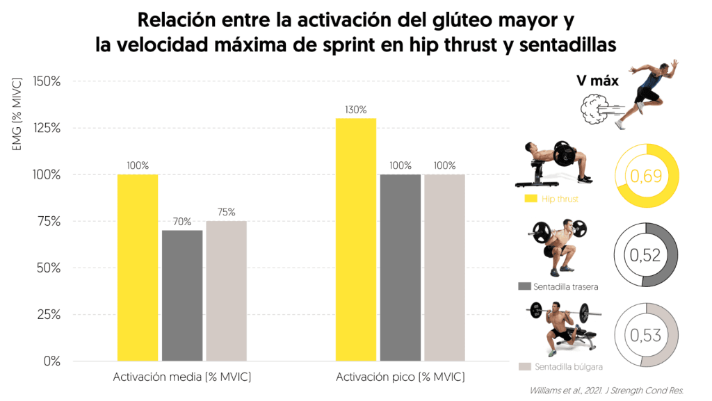 Sentadilla vs hip thrust: diferencias de activación muscular 23 activación electromiográfica glúteo mayor