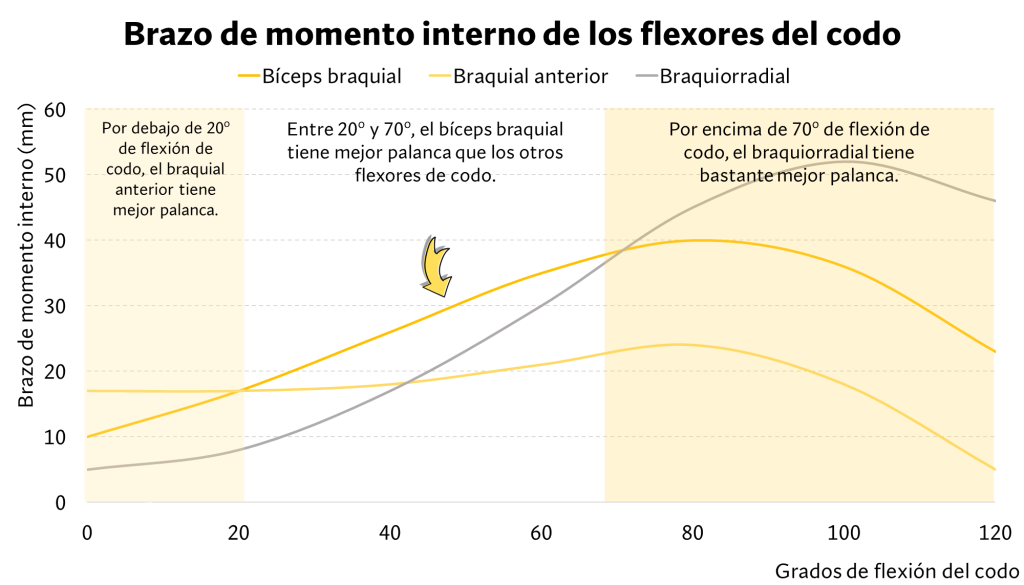 Brazos de momento interno