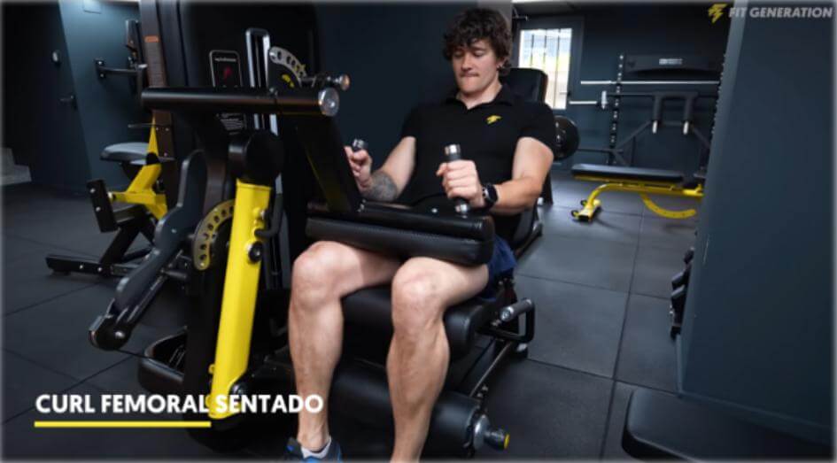 Curl femoral sentado