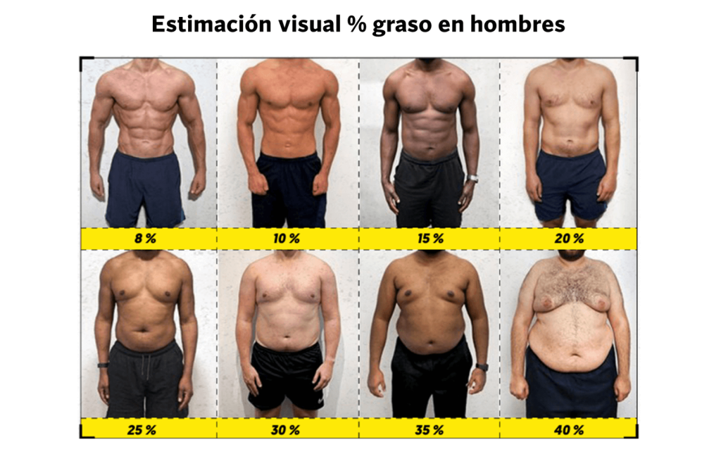 La forma más sencilla de mantenerse definido siempre (de forma natural) 3 Porcentajes grasa corporal en hombres