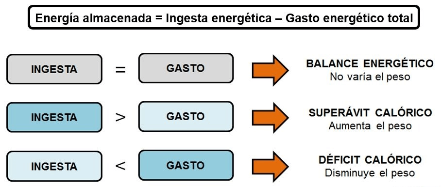 Dietista opina sobre la dieta del bocadillo para adelgazar 3 Efecto de dieta en bocadillos