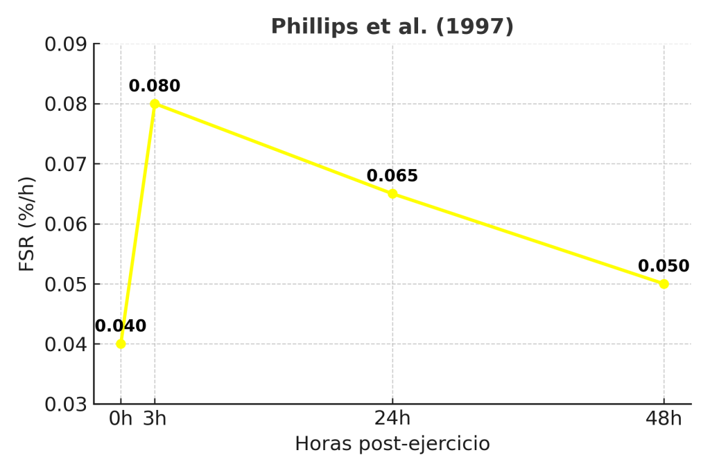 ¿Por qué es tan difícil ganar músculo? 5 Respuesta tras el entrenamiento