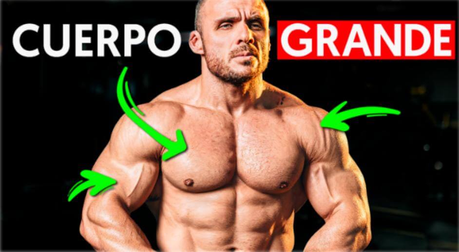Entrenar verse más grande