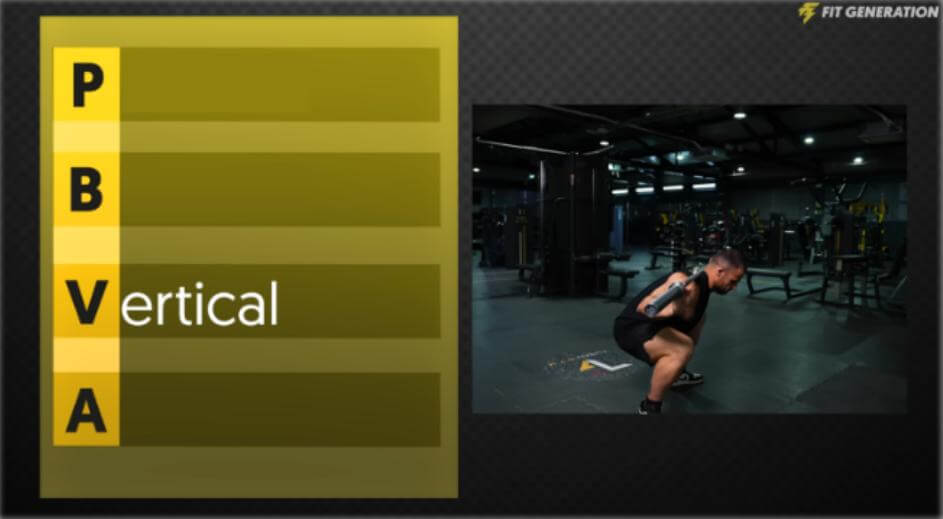 ¿Qué músculos entrenar para verse más grande? 23 Patrón vertical regla PBVA