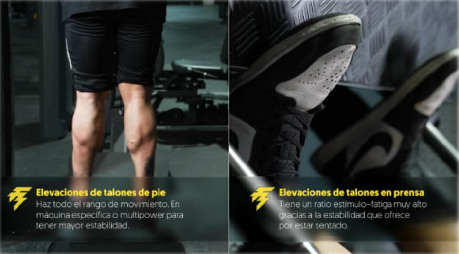 ¿Qué músculos entrenar para verse más grande? 29 Elevaciones de talones de pie
