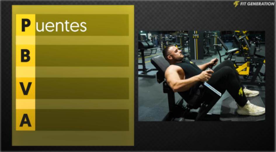 ¿Qué músculos entrenar para verse más grande? 19 Puentes regla PBVA